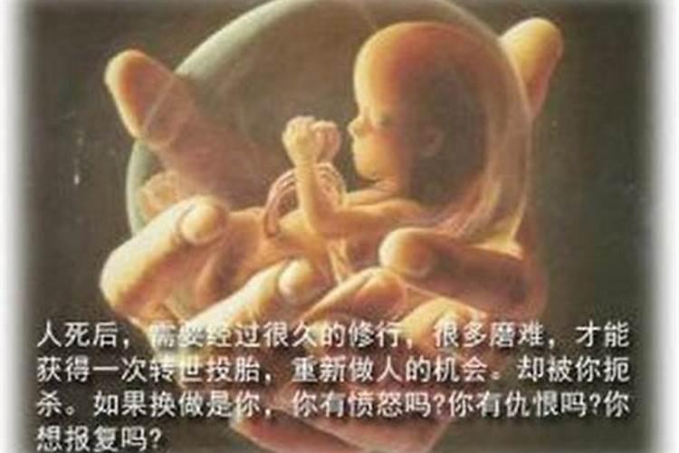 佛教关于超度堕胎婴灵