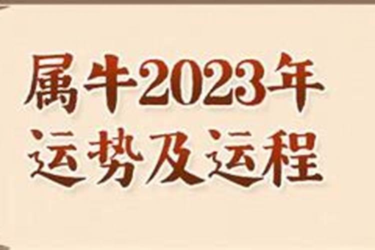 李居明2021年幸运数字
