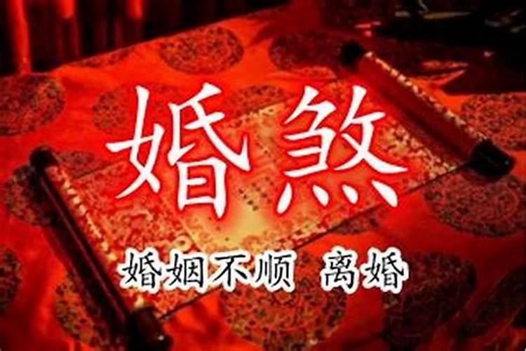 重阳节中国传统风俗喝什么酒
