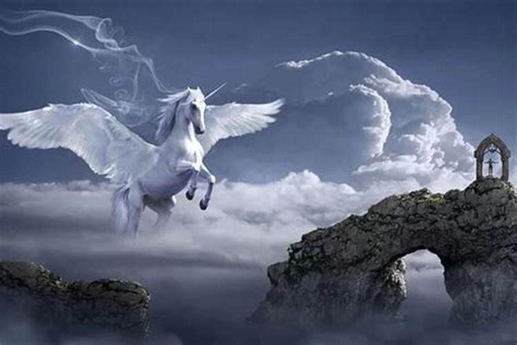 梦见马在天空中奔驰
