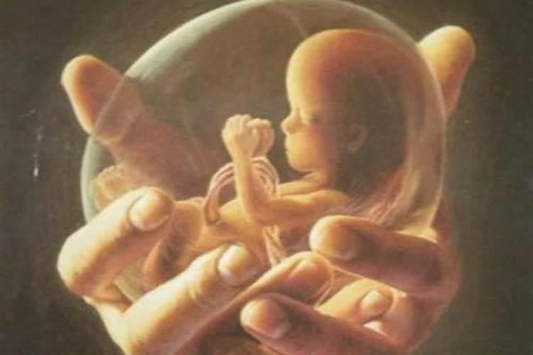 超度堕胎婴灵：自我功德的探索与实践