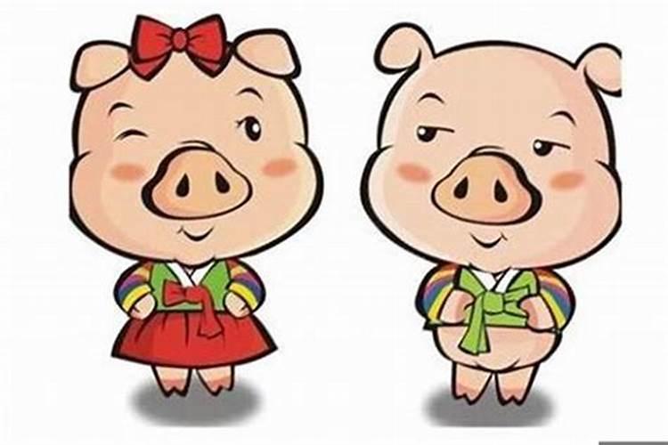 猪最好的婚配属相是什么？