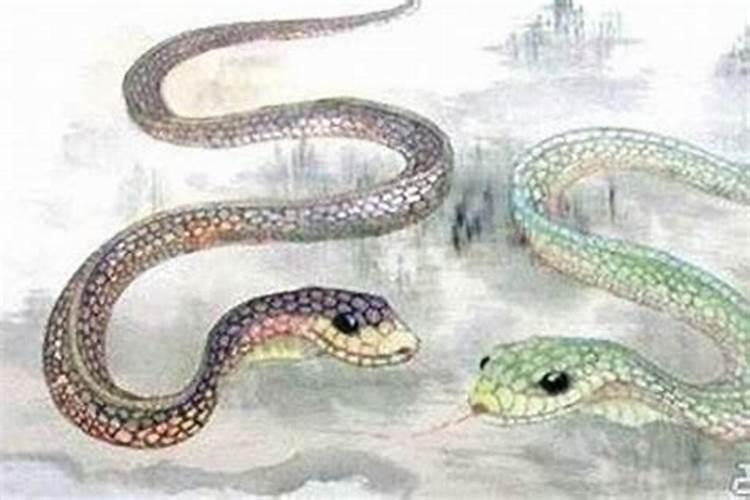 蛇与蛇的缘分：探讨属蛇人的婚姻合婚之道