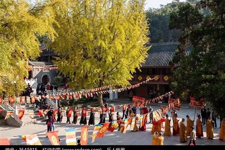 寻觅北京的道场之光：哪家寺庙做法事最好？？