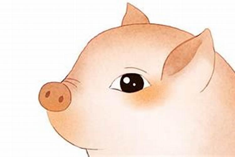 梦见猪头是什么意思？
